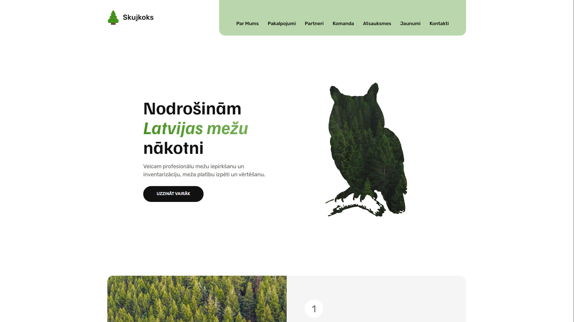 Skujkoks.lv
